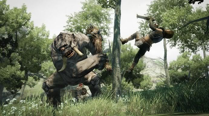 Dragon's Dogma